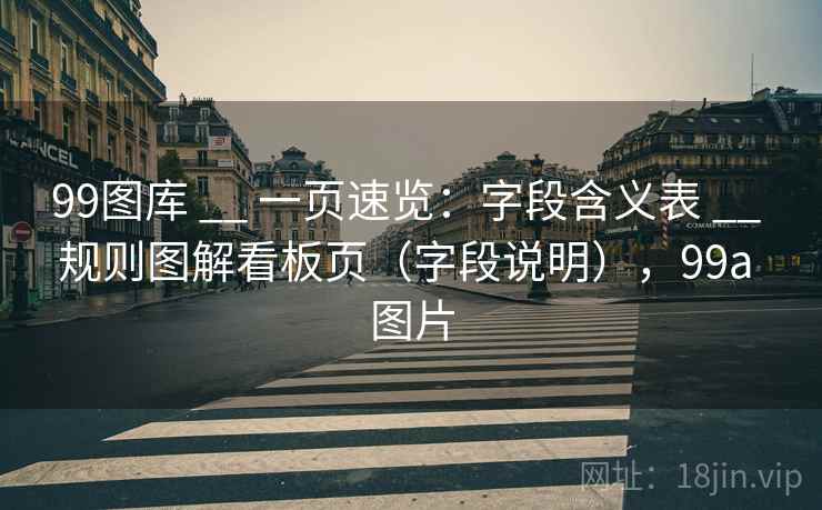 99图库 __ 一页速览:字段含义表 __ 规则图解看板页(字段说明),99a 图片 99图库 __ 一页速览:字段含义表 __ 规则图解看板页(字段说明),99a 图片